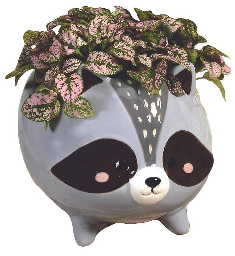 Raccoon Planter