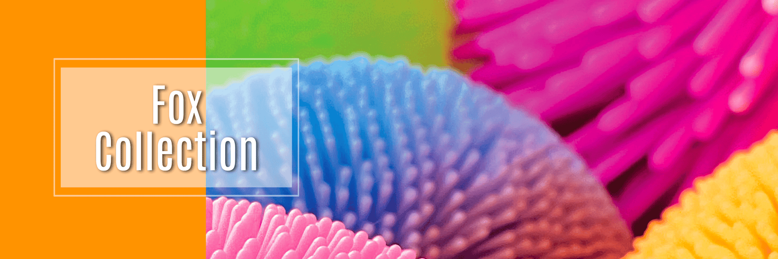 Fox Collection - Streamline NY Retail Store