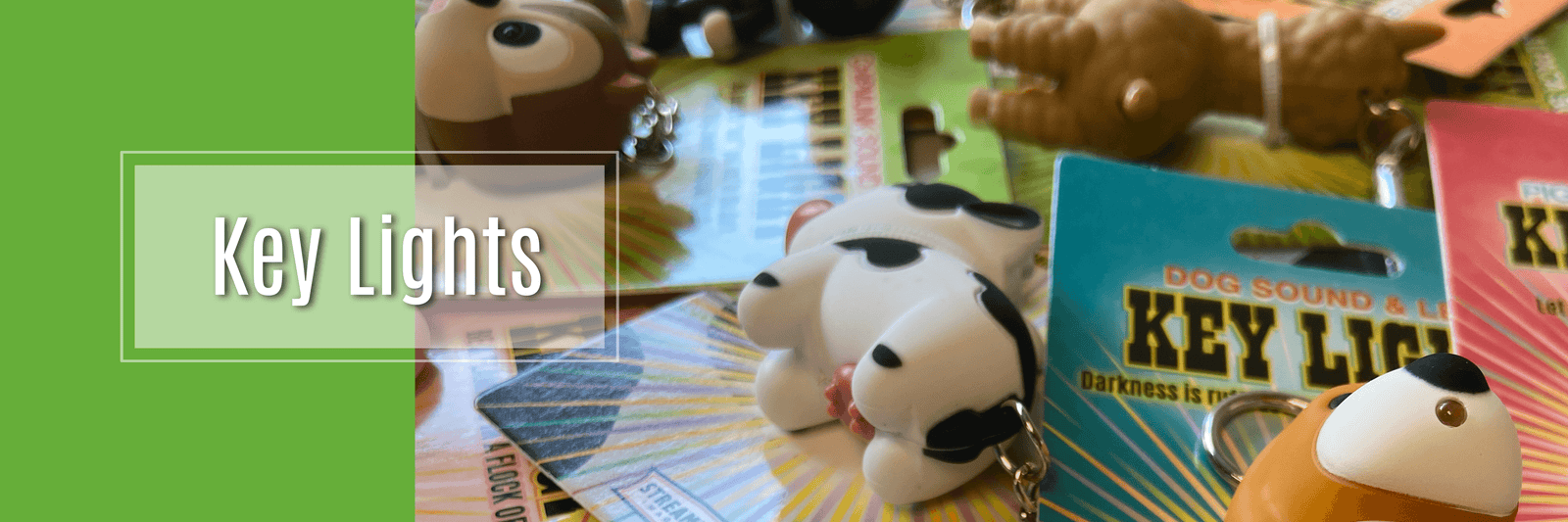 Key Light Collection - Streamline NY Retail Store