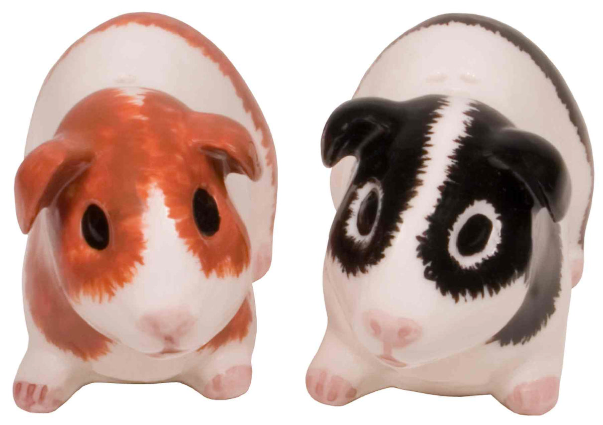 Guinea Pig Salt &amp; Pepper Set