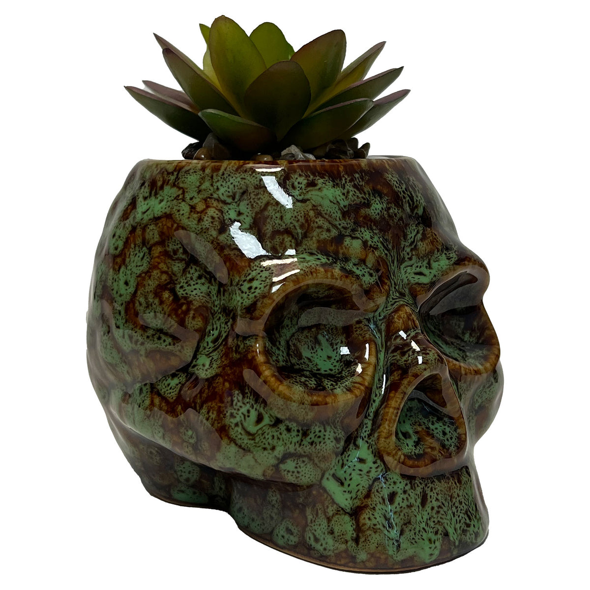 Skull Planter &amp; Storage