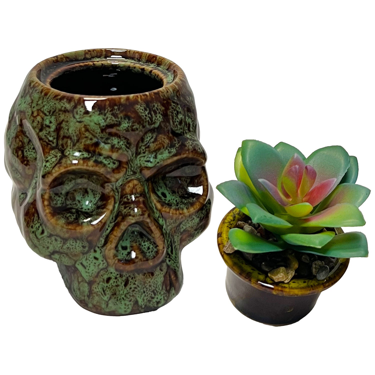 Skull Planter & Storage