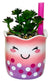 All My Best-Teas Faux Succulent Planter