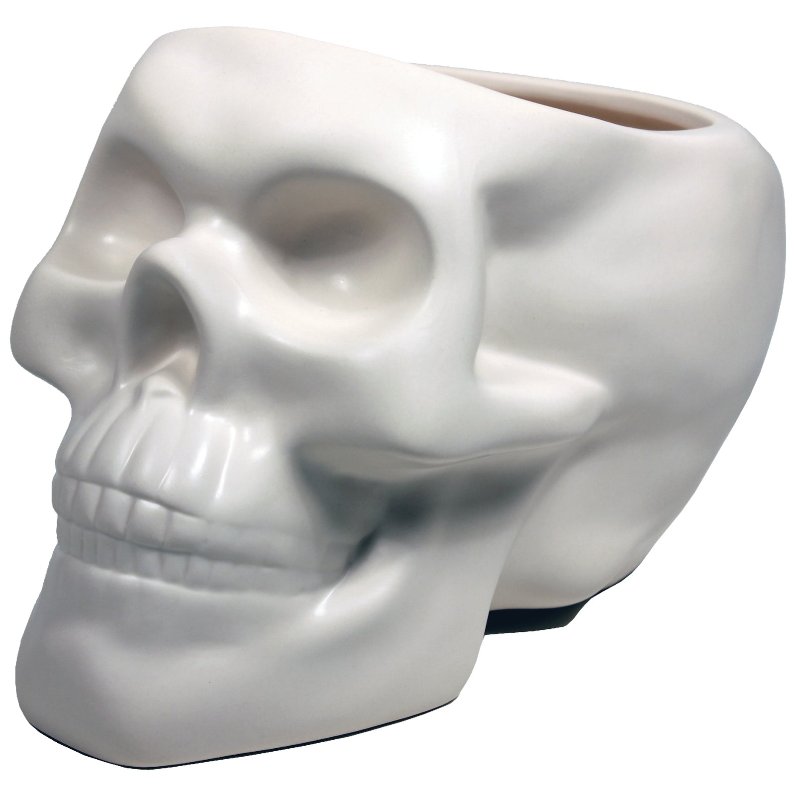 Bone Skull Planter