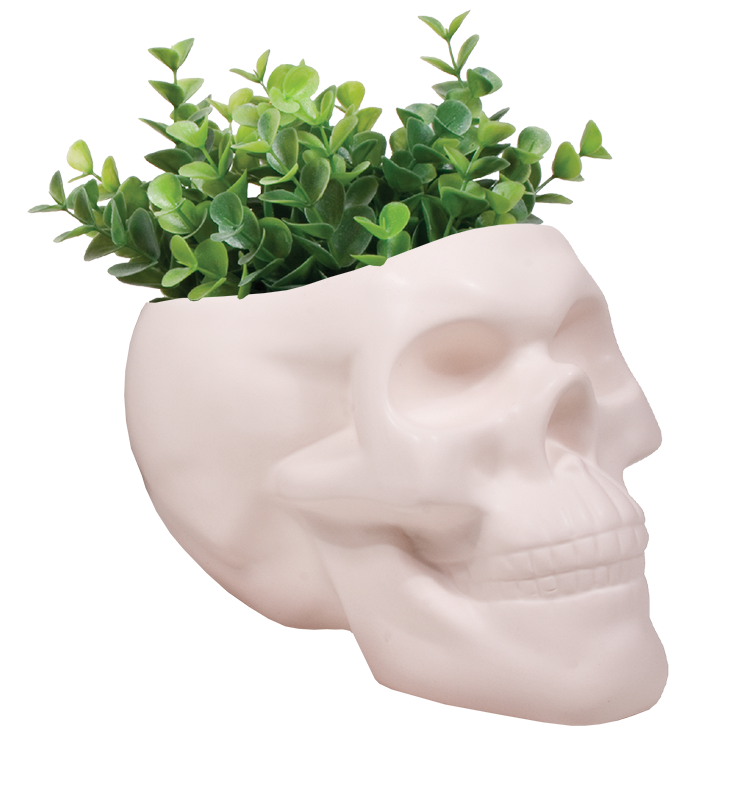 skull planter pot Bone Skull Planter