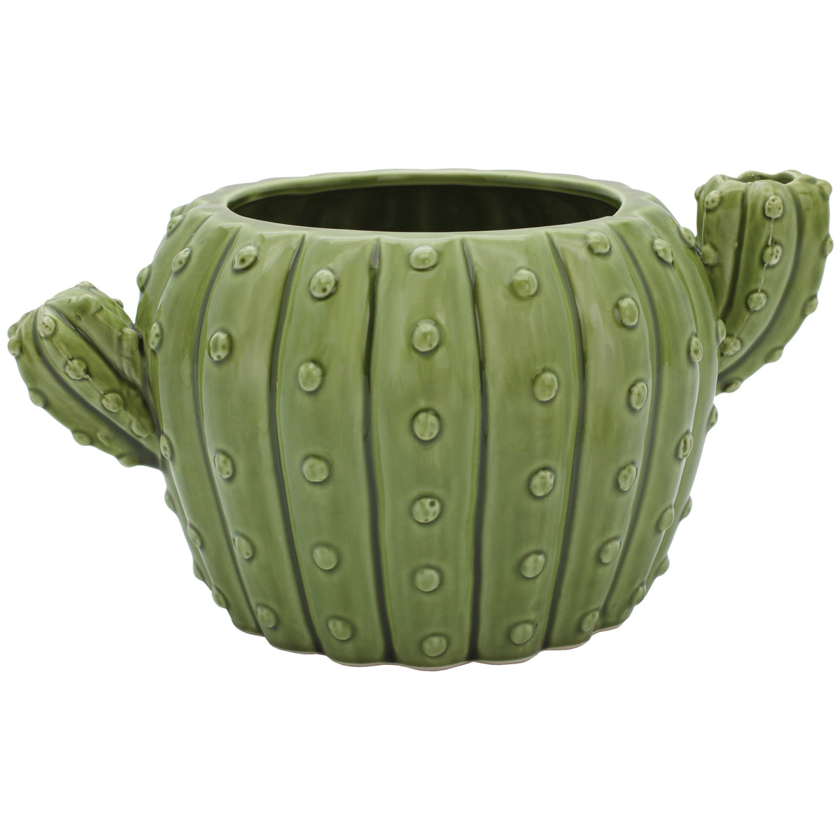 Cactus Planter