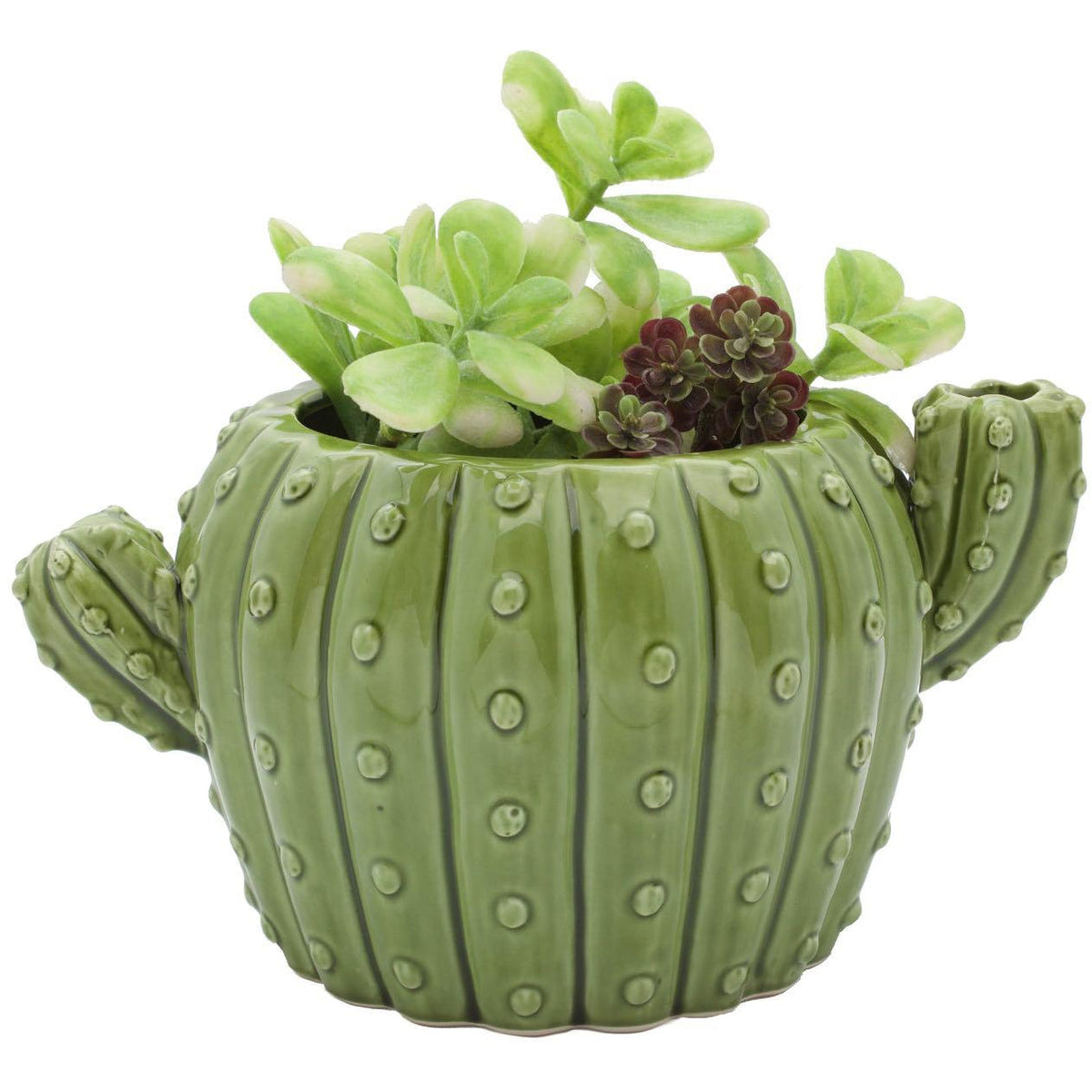 Cactus Planter