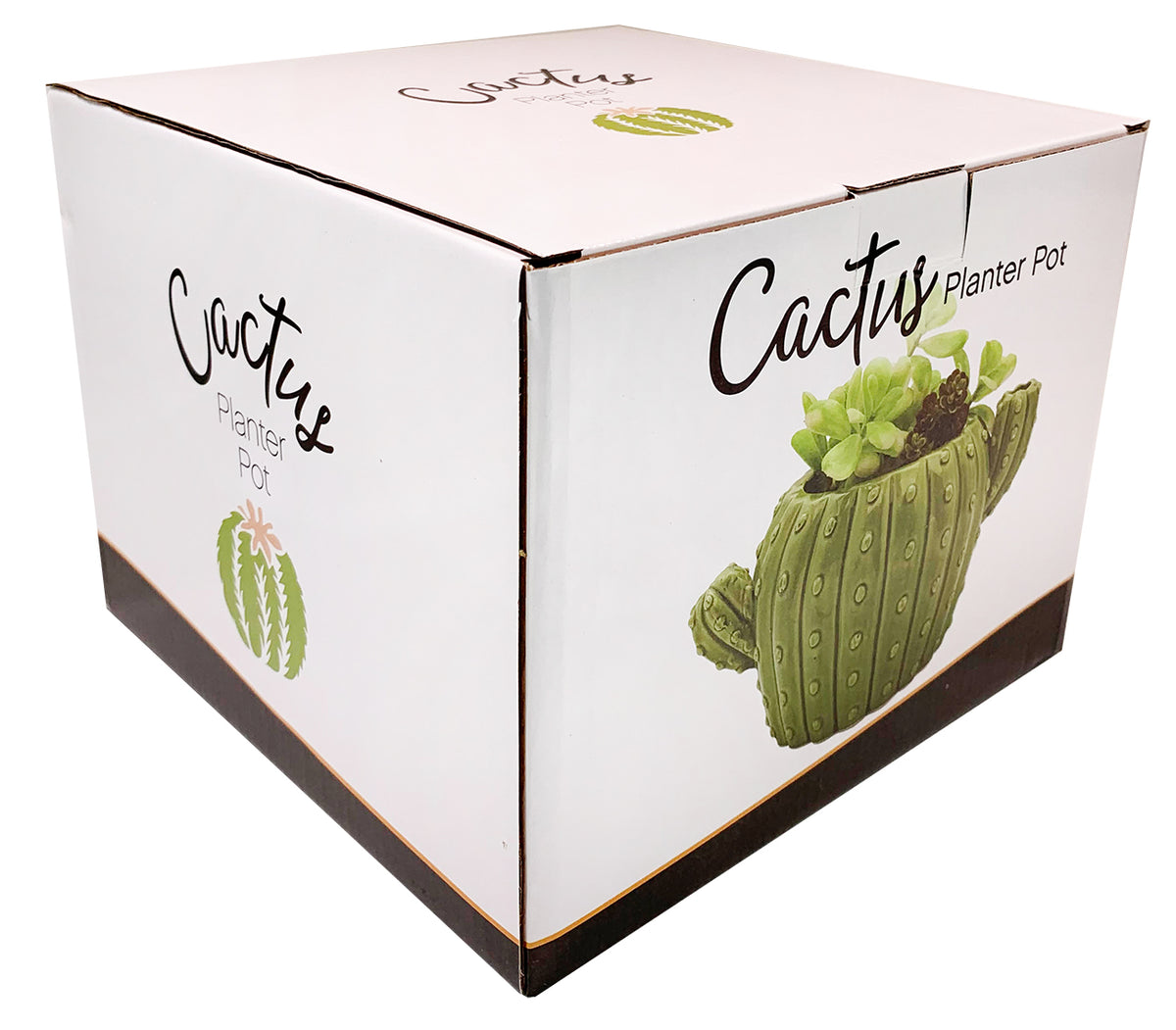 Cactus Planter