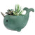 Narwhal Planter Pot With Drainage Hole, Green