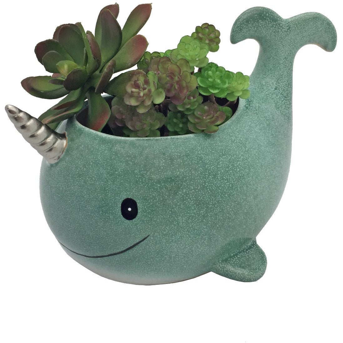 Narwhal Planter