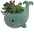 Narwhal Planter