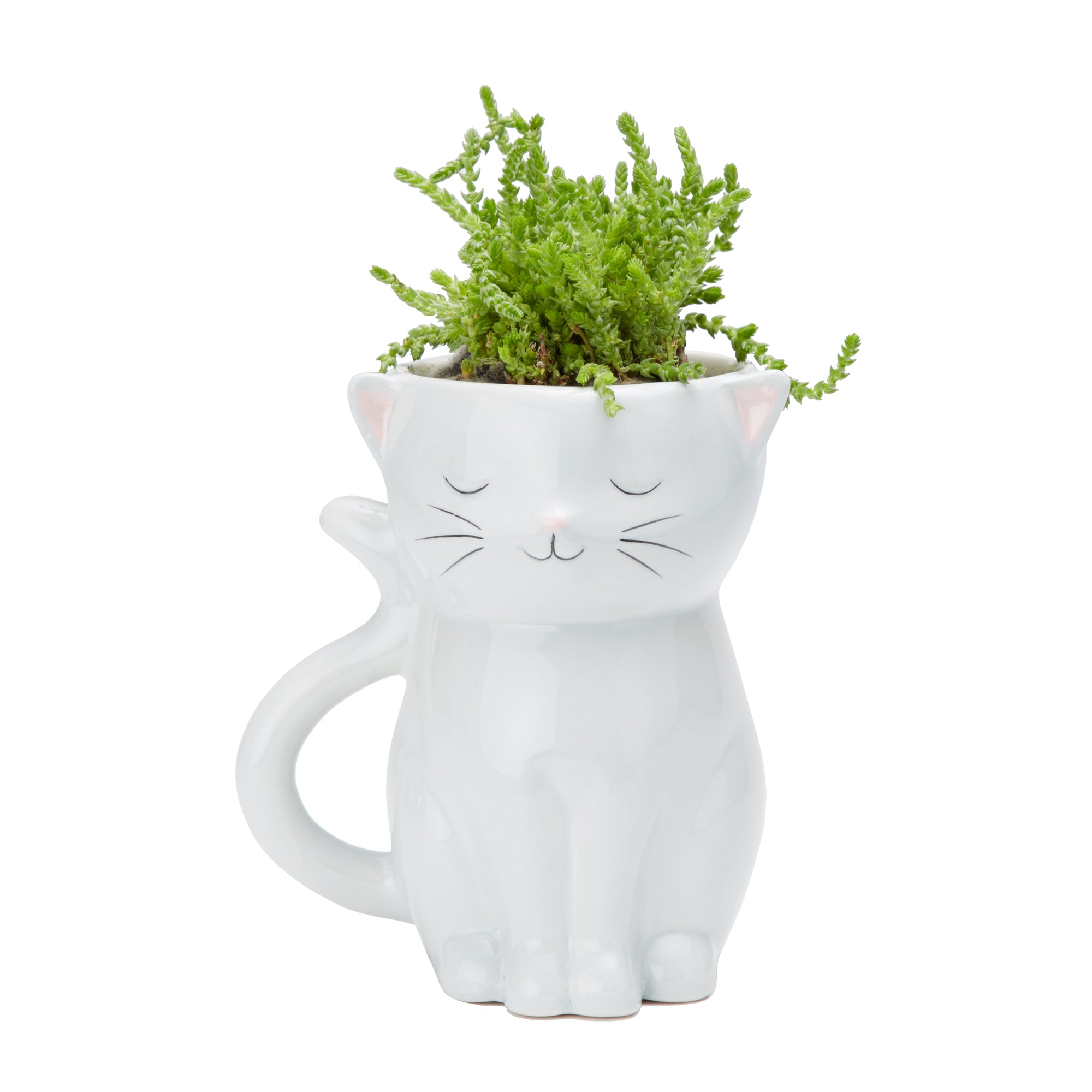 Sweetie Cat Planter, Ceramic, White