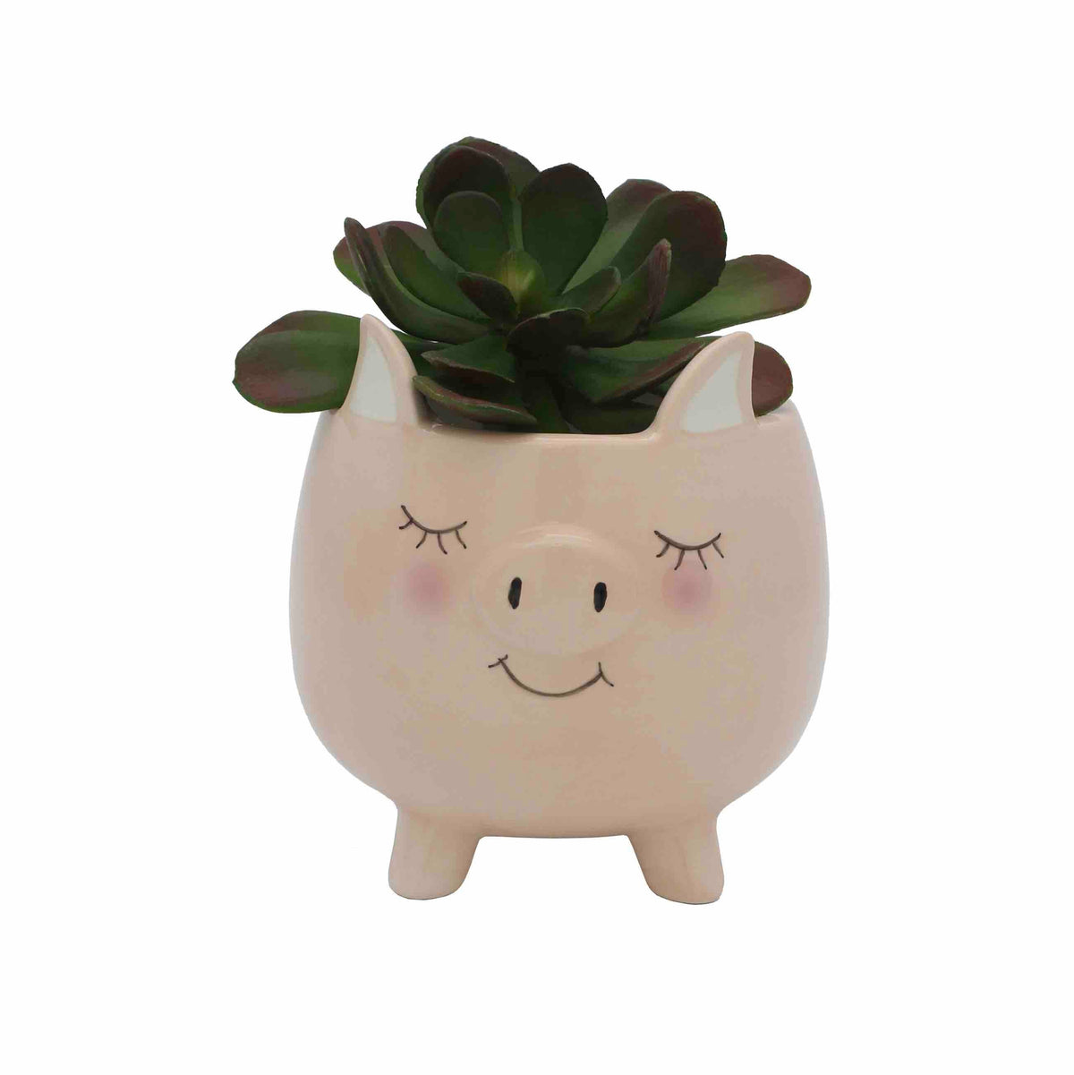 Piggy Planter