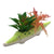 Crocodile Planter