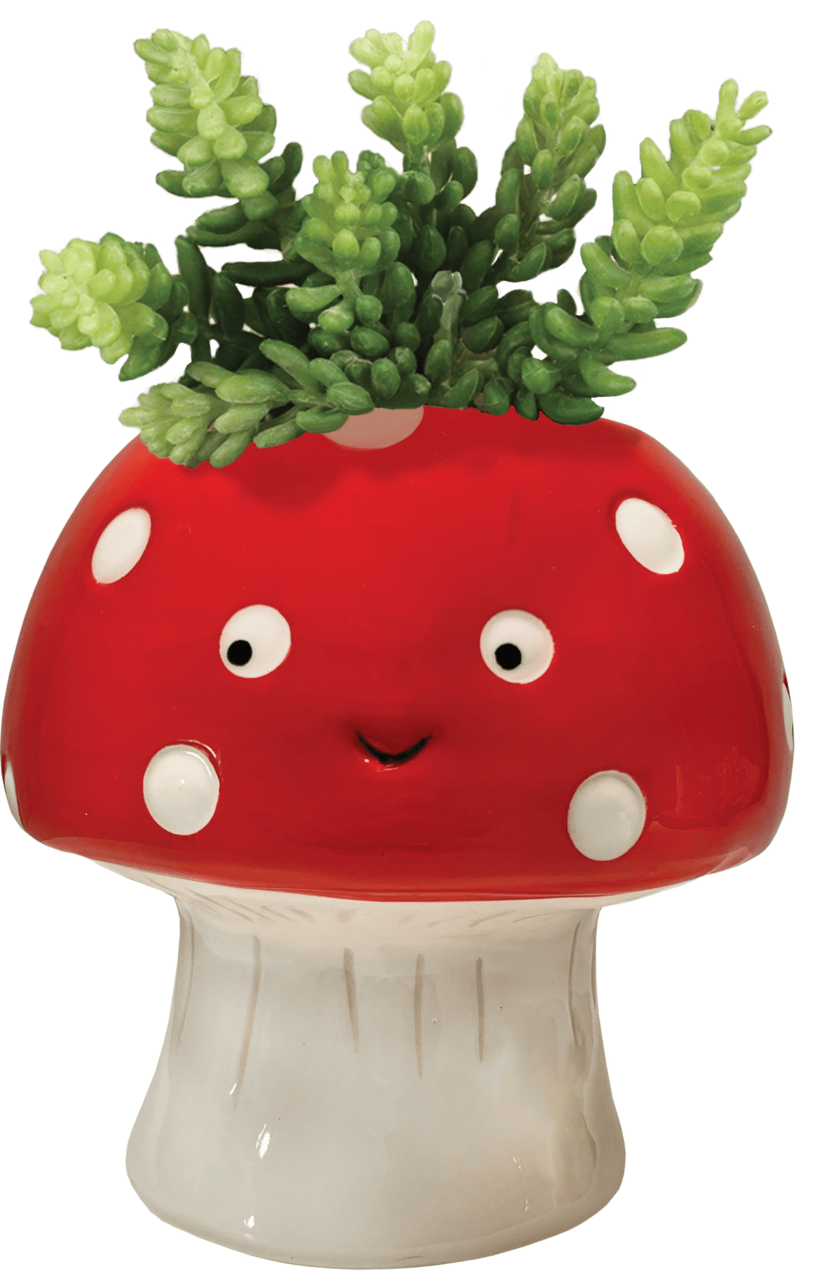 Kawaii Mushroom Planter - Small