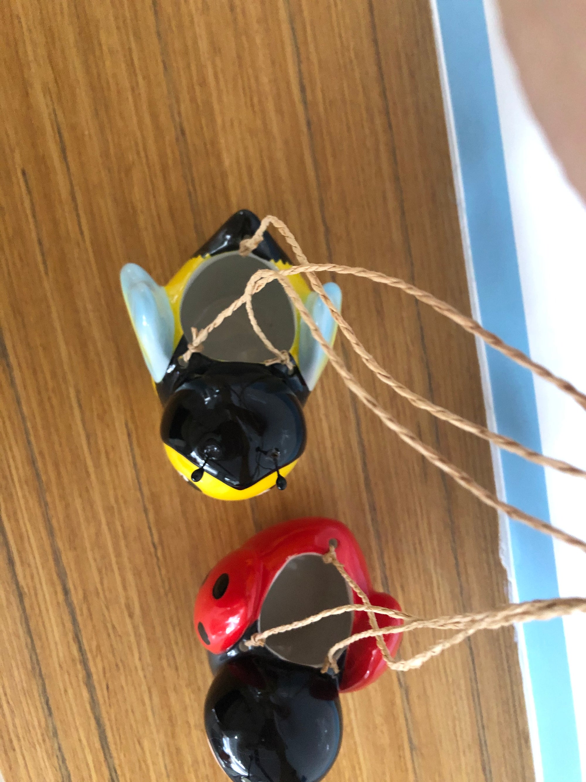 Mini Bee & Ladybug Hanging Planters