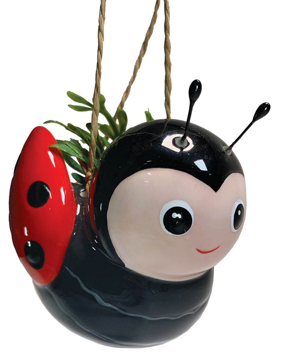 Mini Bee &amp; Ladybug Hanging Planters, 1 pcs