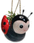 Mini Bee & Ladybug Hanging Planters, 1 pcs