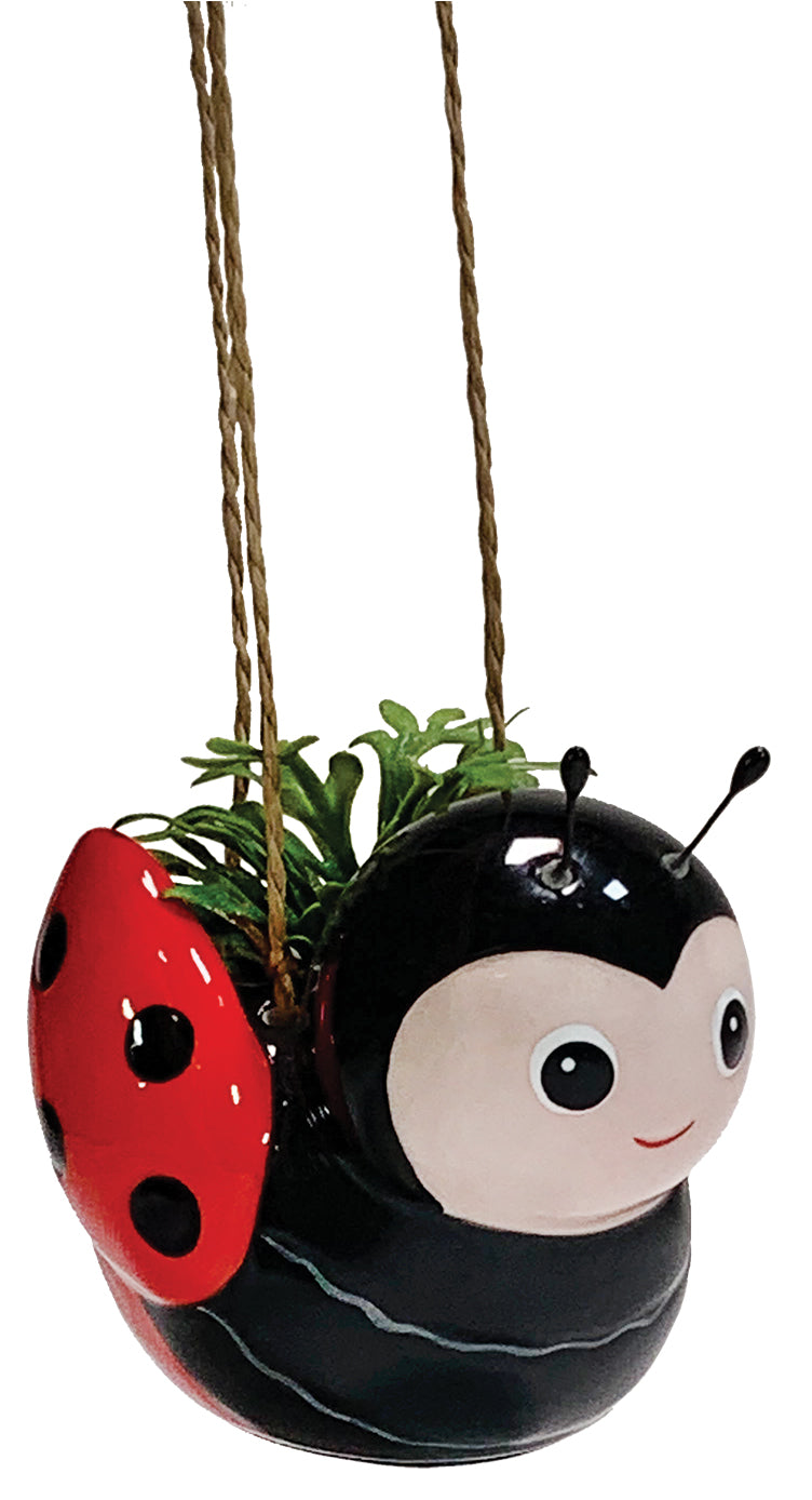 Mini Bee &amp; Ladybug Hanging Planters, 1 pcs