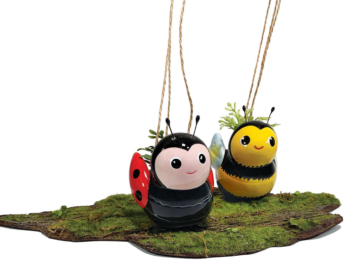 Mini Bee &amp; Ladybug Hanging Planters, 1 Each