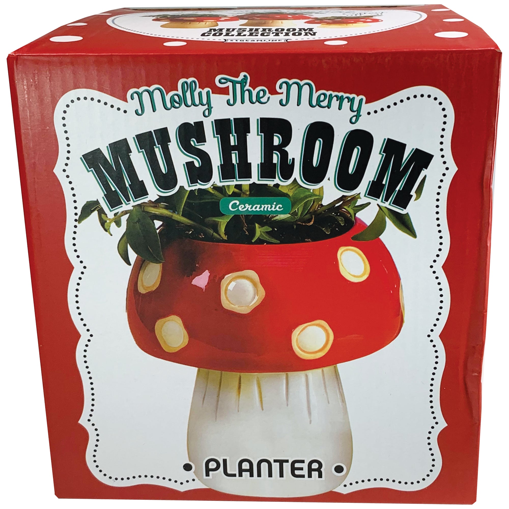 Medium Mushroom Planter