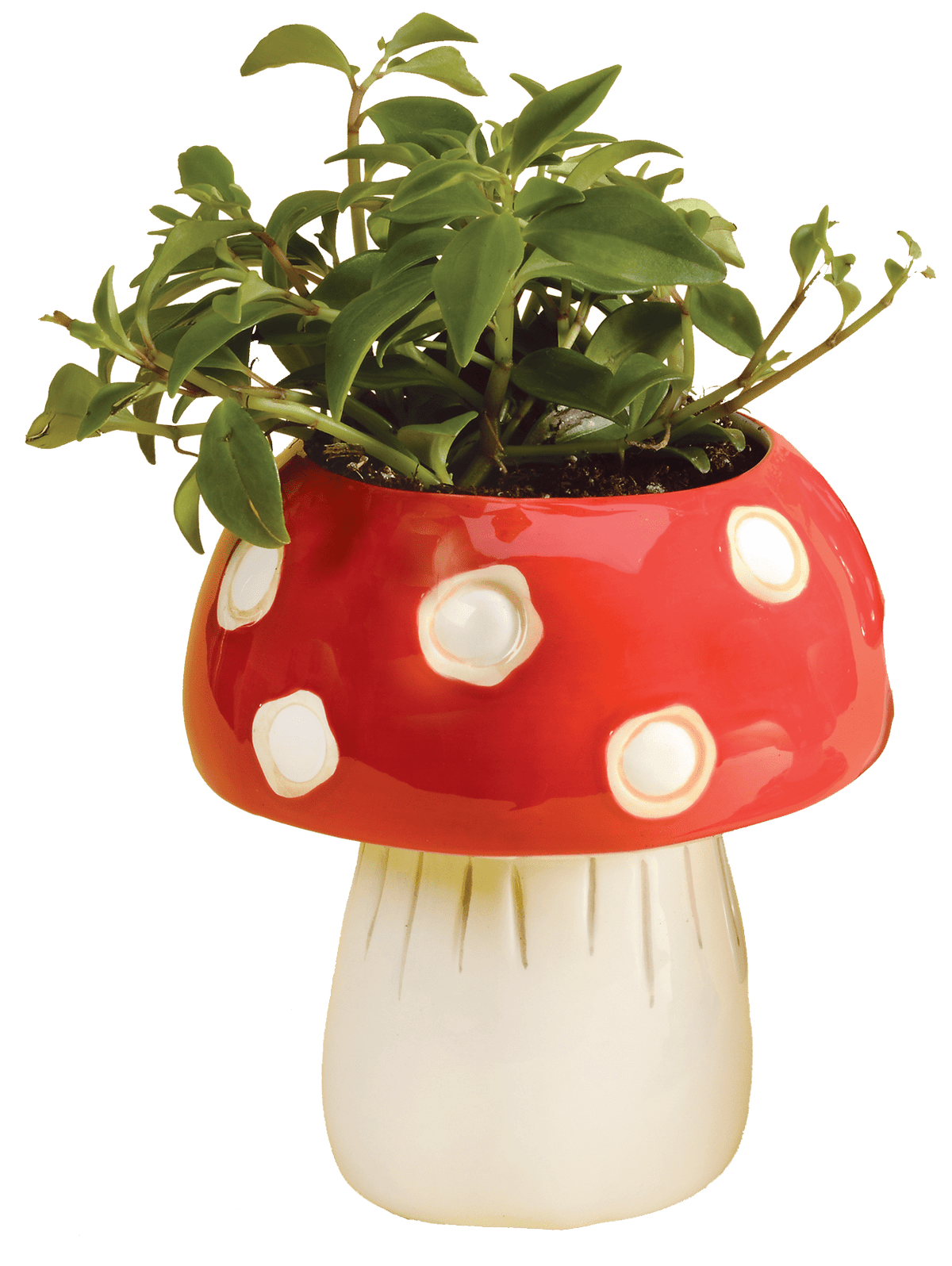 Mushroom Planter - Medium