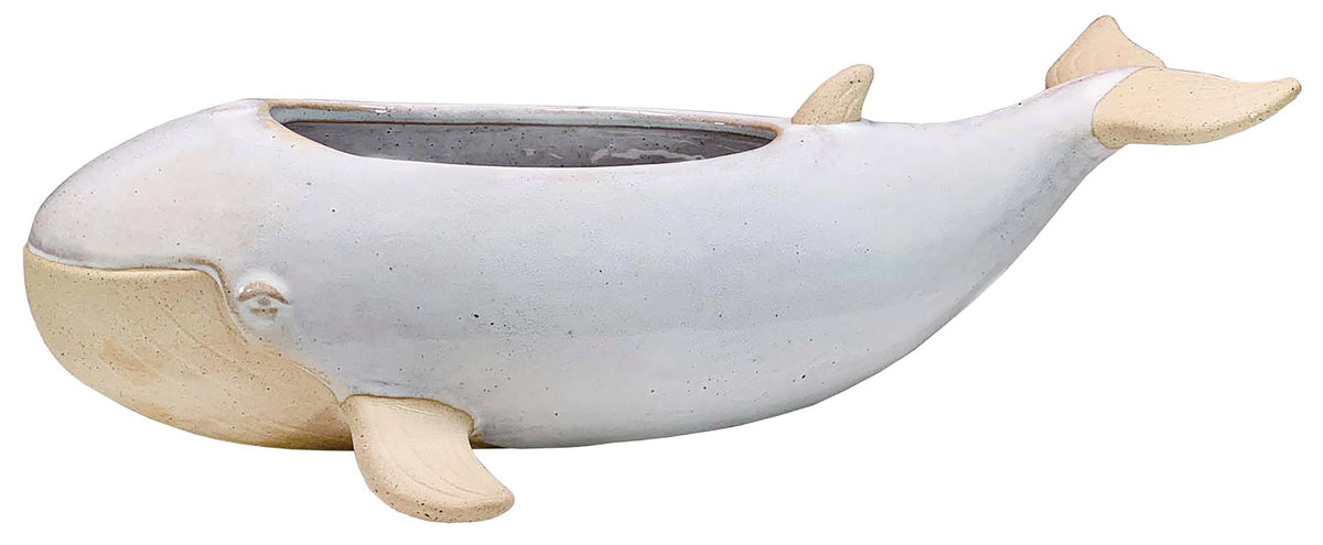 Sprouter Whale Planter