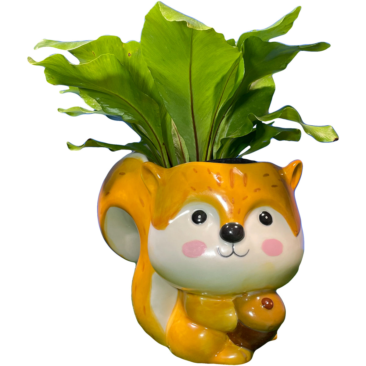 Squirrel Planter