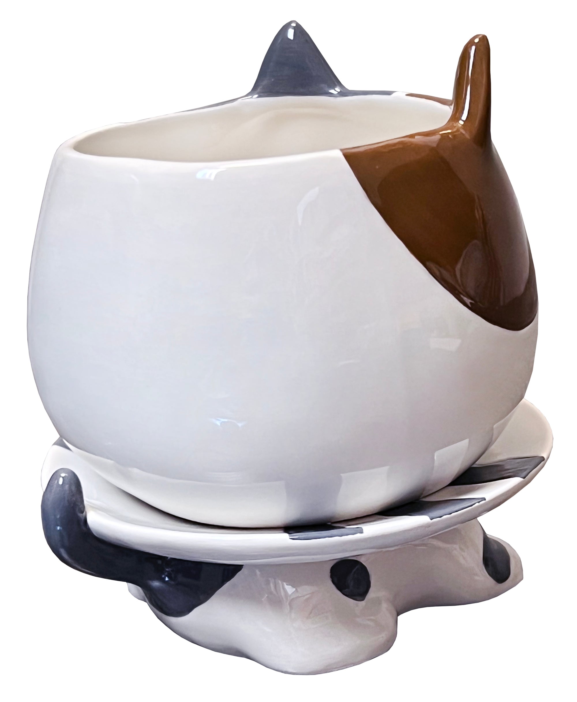 Cat's Meow Footsie Planter