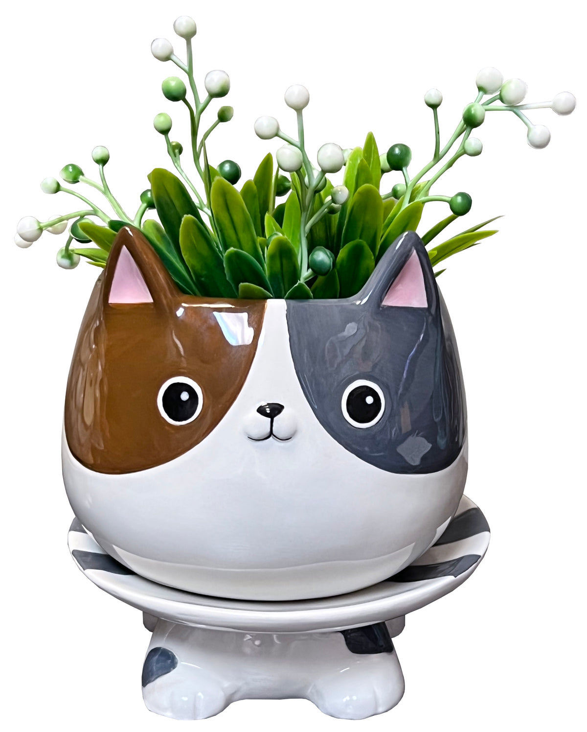 Cat&#39;s Meow Footsie Planter