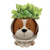 Dog Footsie Planter