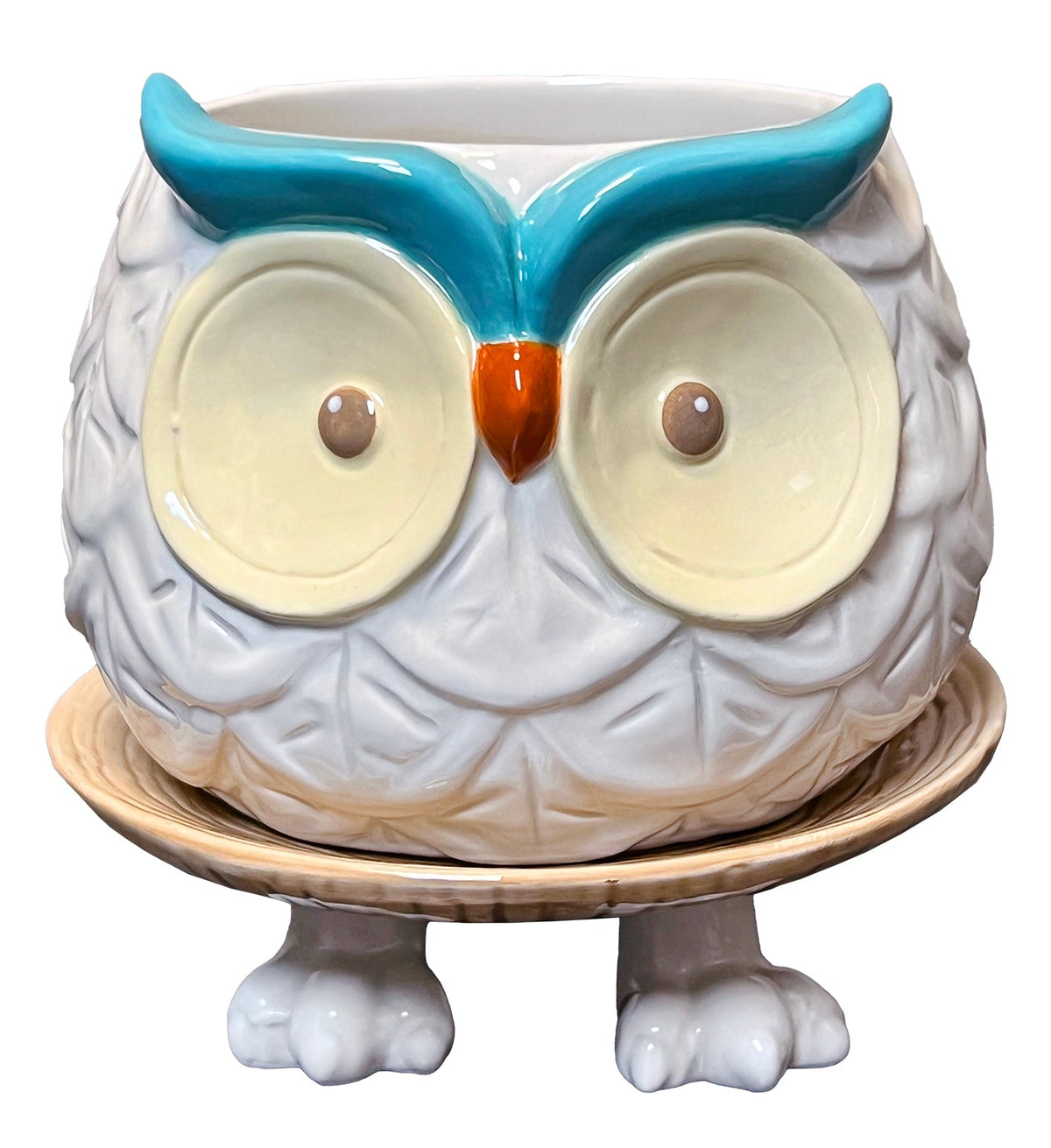 Hoots the Owl Footsie Planter