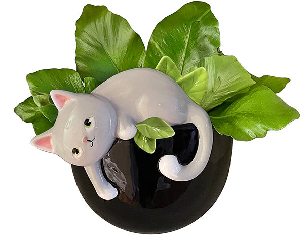 black cat planter pot Planter