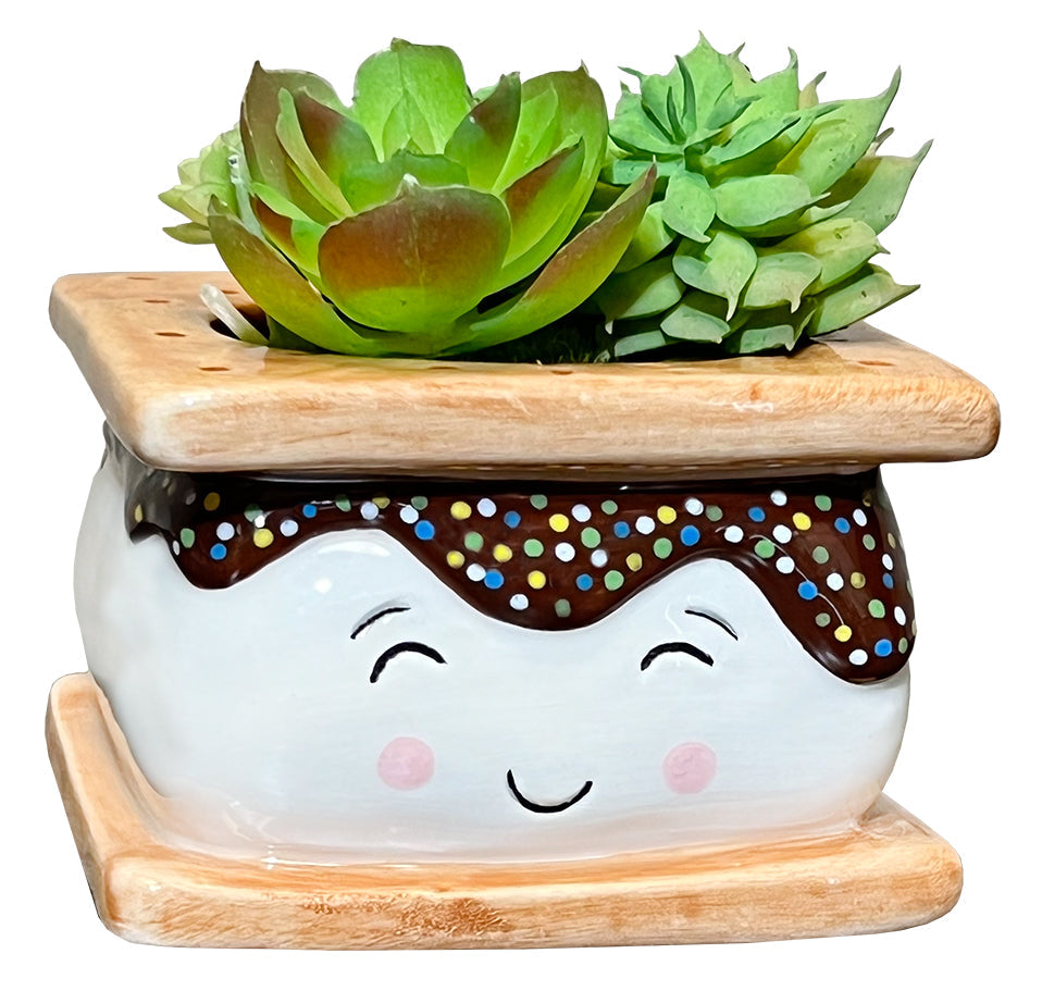 Small S&#39;mores Planter