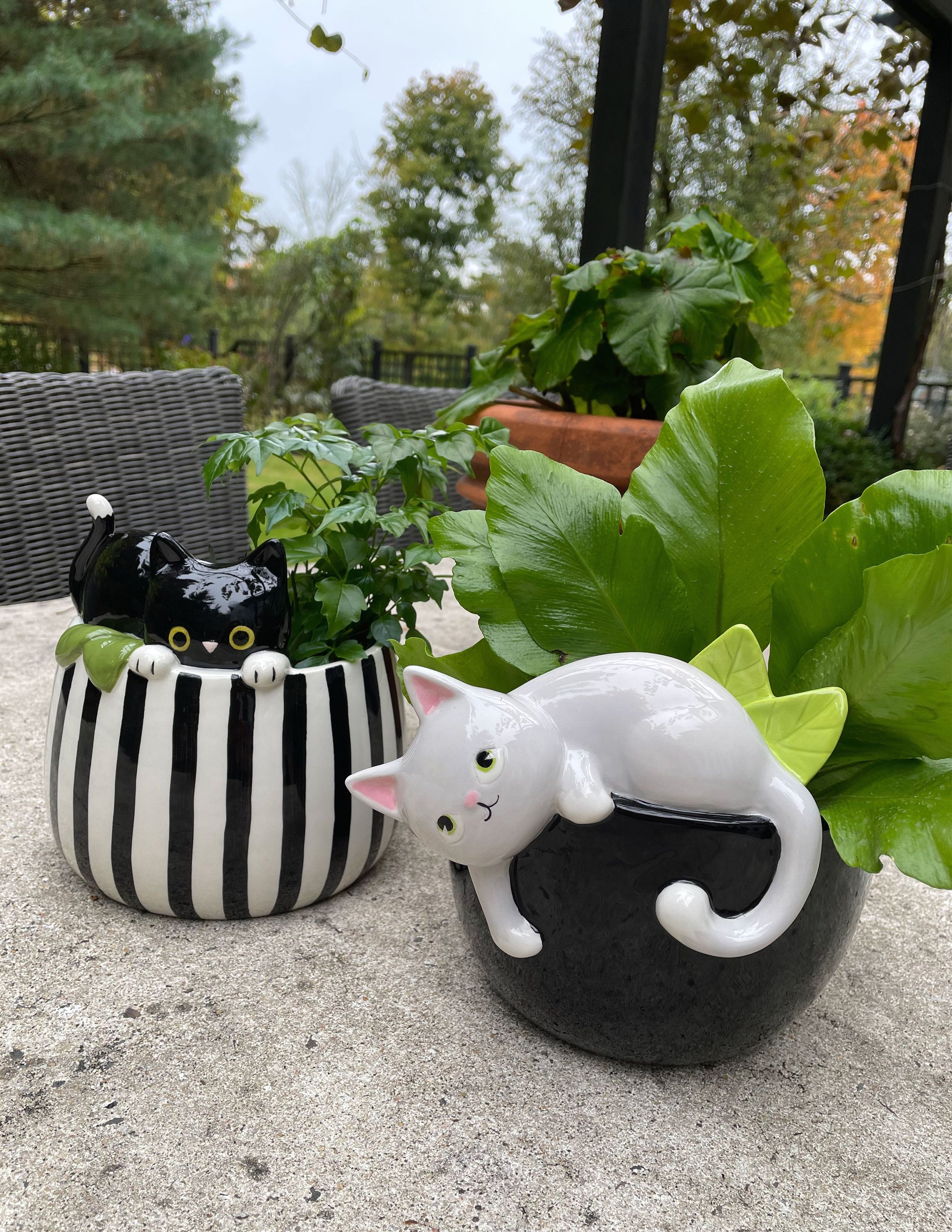 Playful Kitty Planter