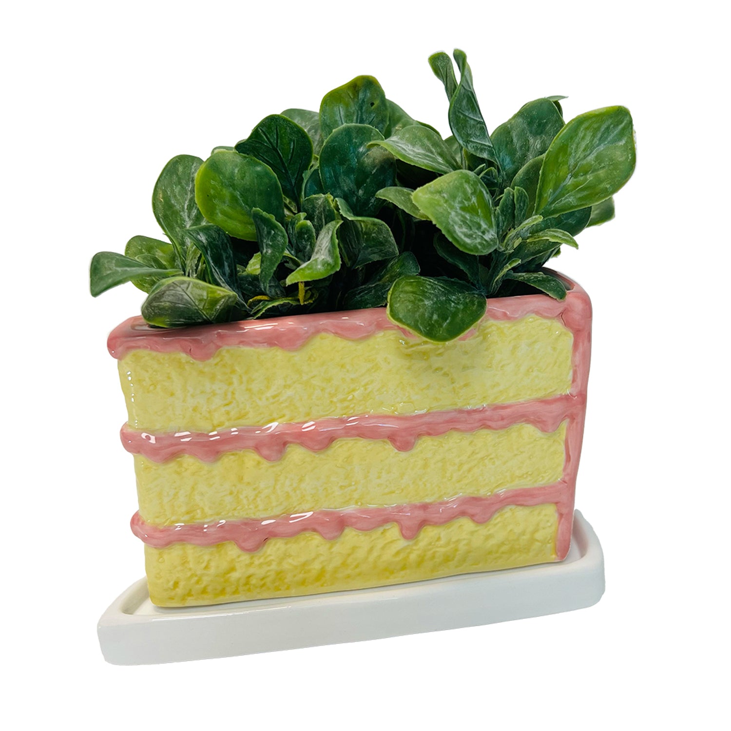 Birthday "Slice of Cake" Planter