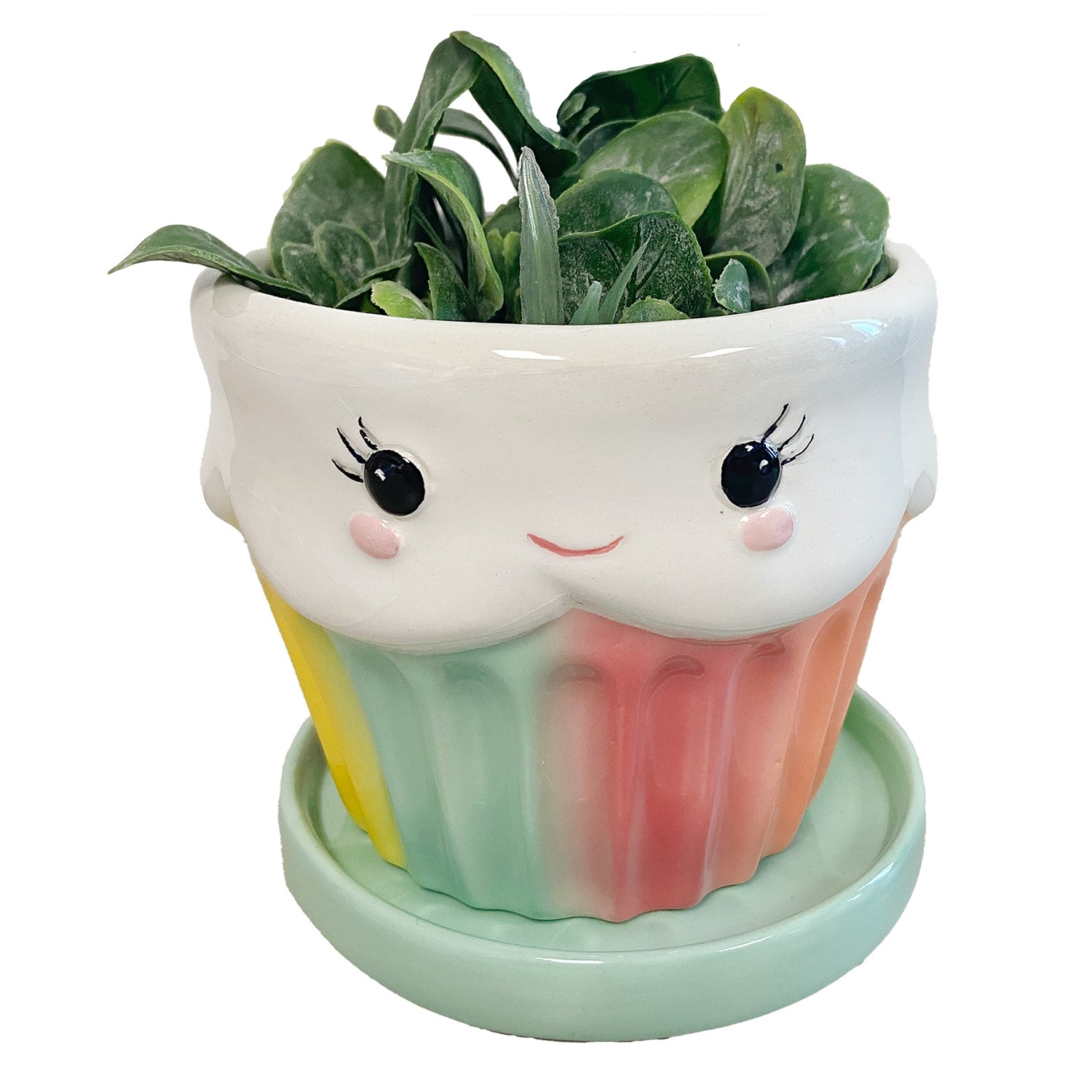 cupcake plant pot Cupcake Mini Planter