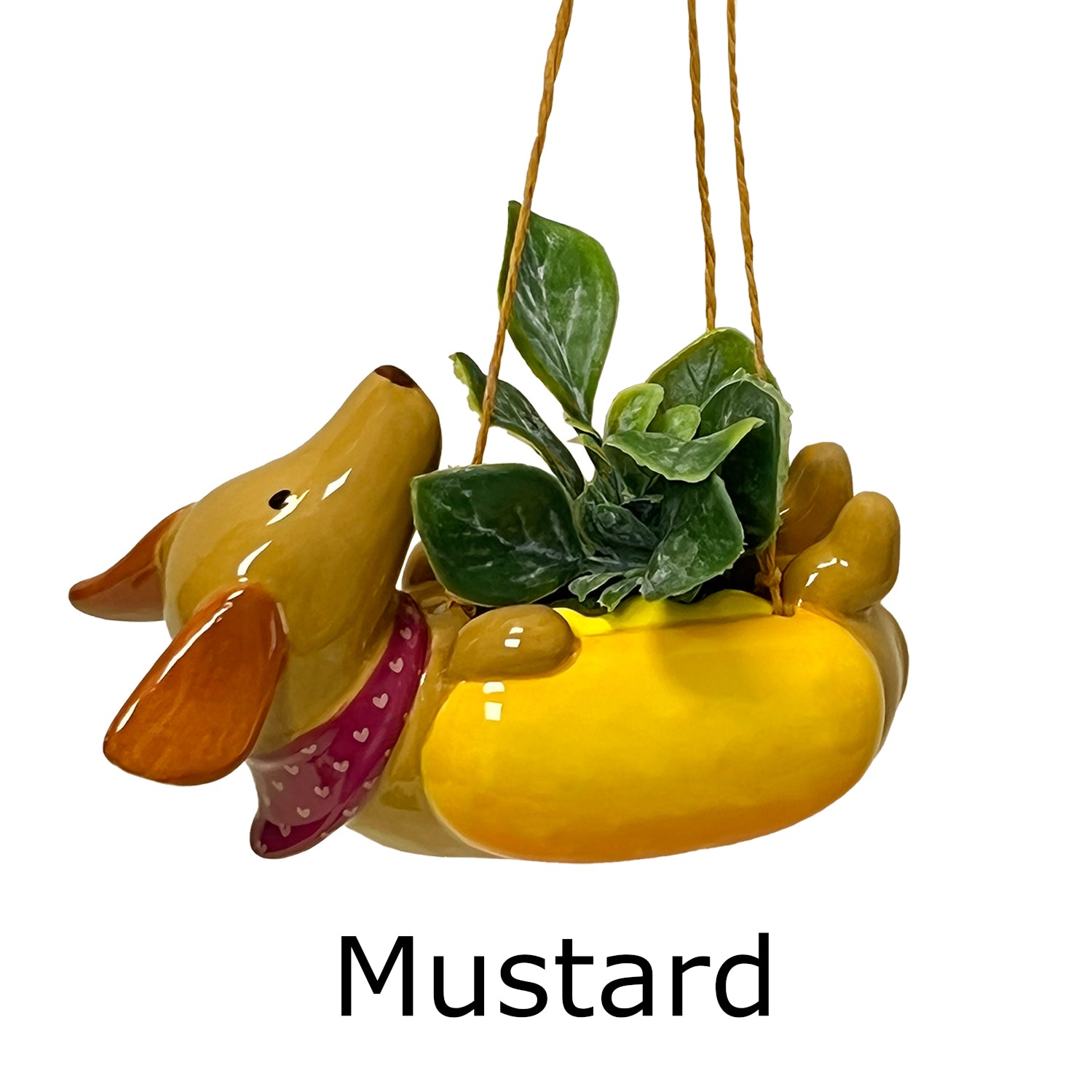 Hot Dog Mini Hanging Planters