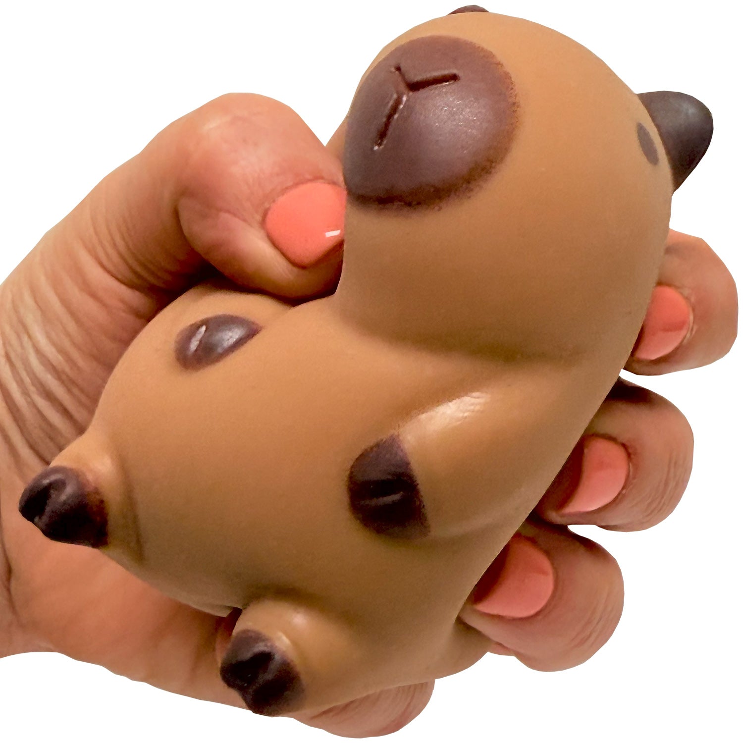 Capybara Squeeze Toys