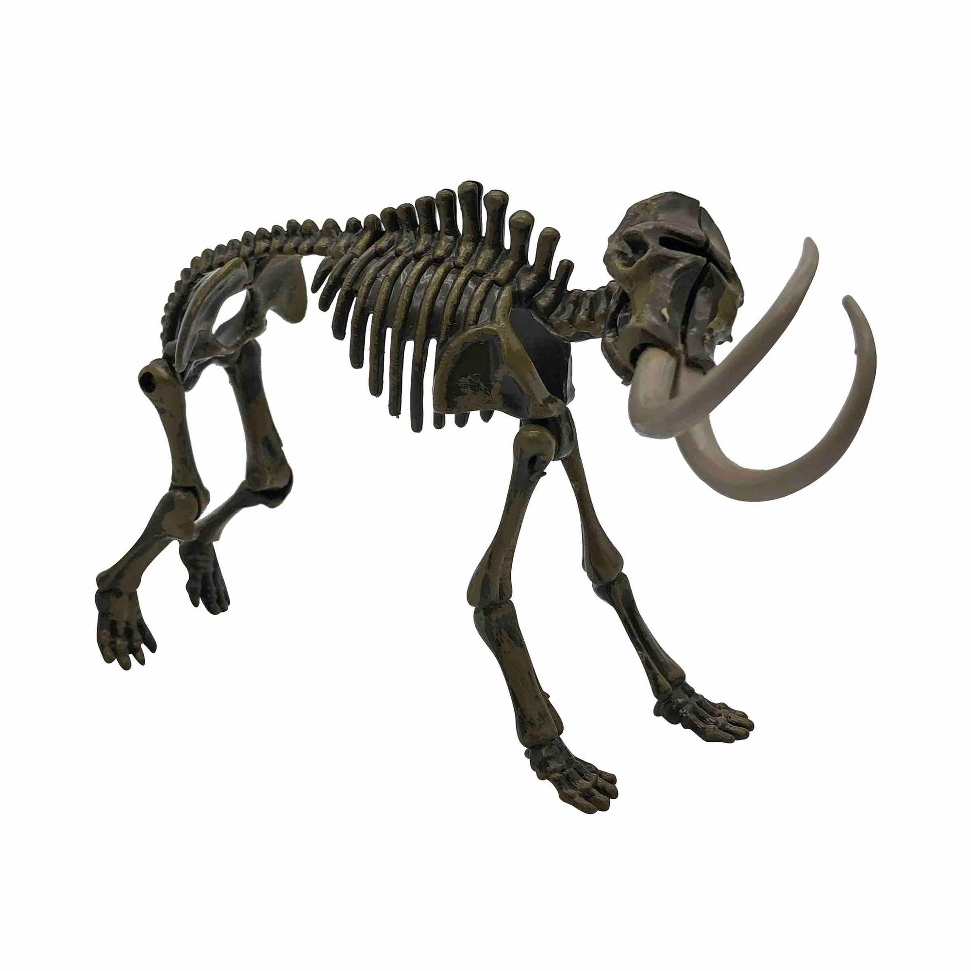 Dinosaur Fossil Egg, 1 PCS