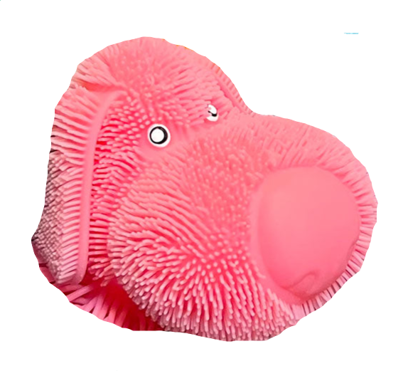 Dog Squeezy Wiggly Pets