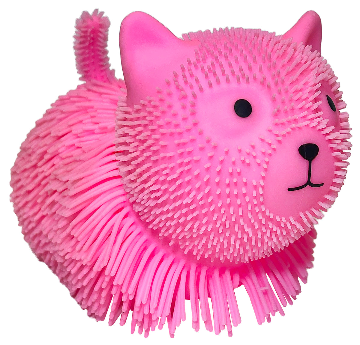 Cat Squeezy Wiggly Pet