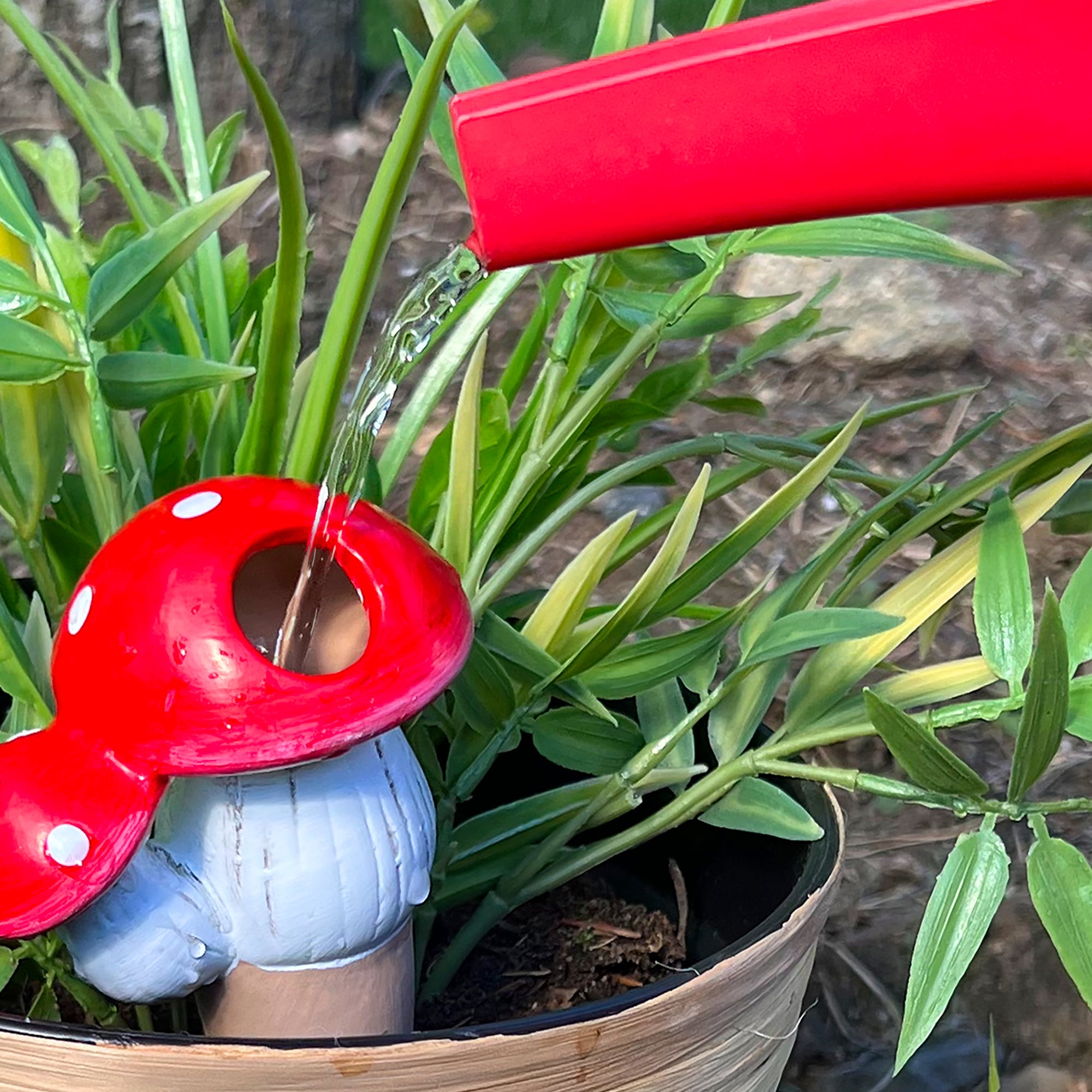 Mushroom Watering Spikes