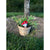 Mushroom Watering Spikes
