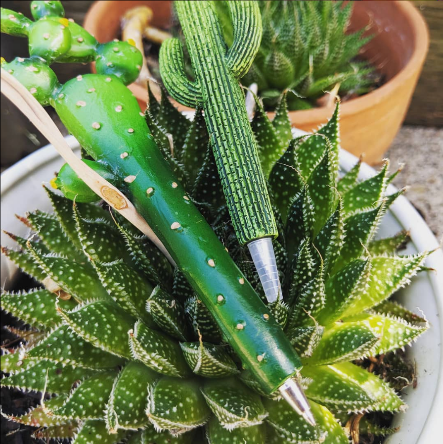 Succulent Cacti Pen, 4 Pack