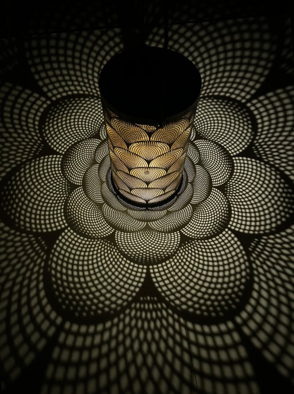 Solar Outdoor Garden Lights