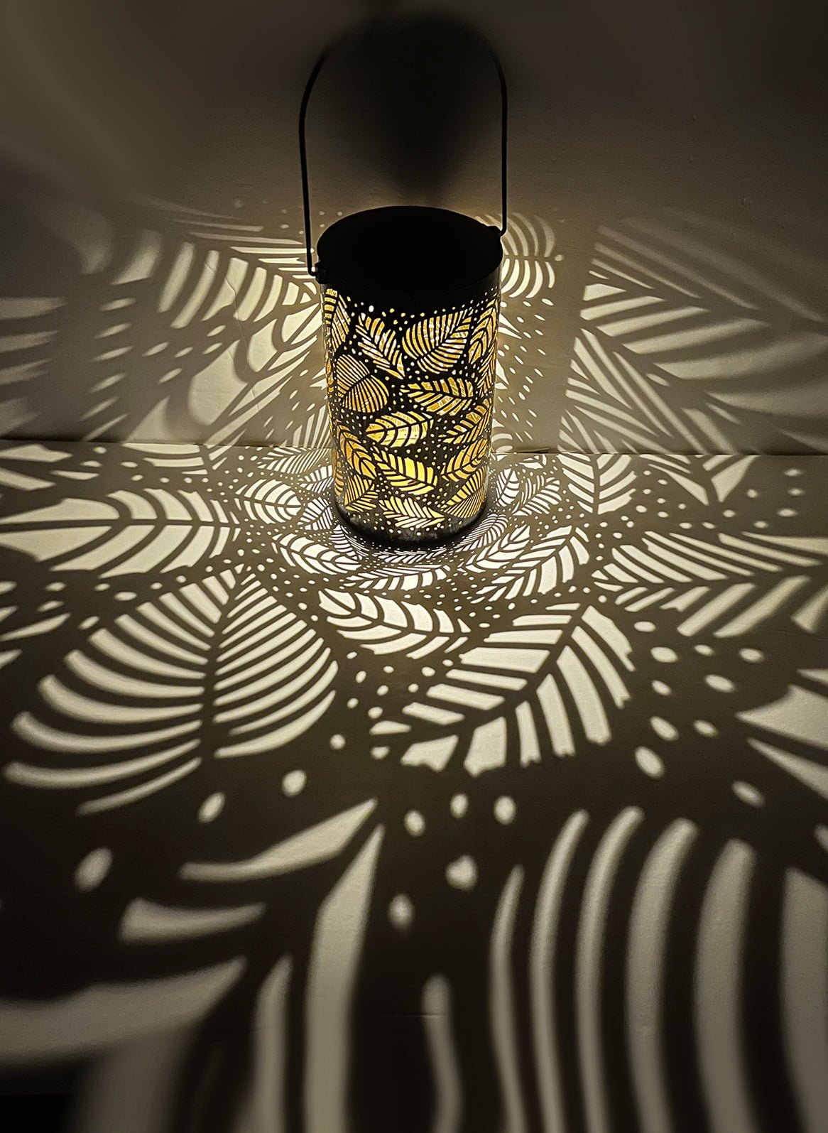 Solar Outdoor Garden Lights