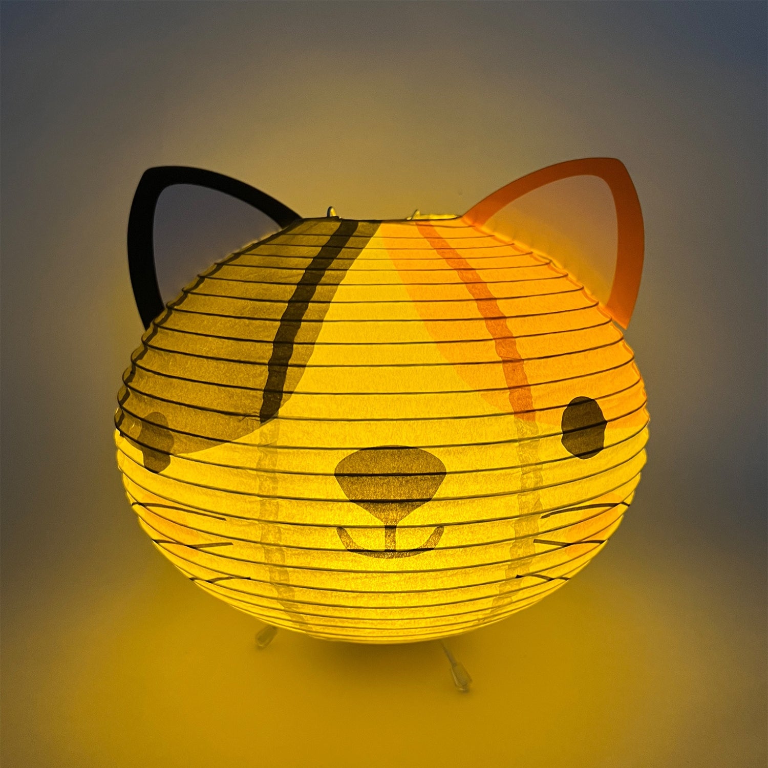 Paper Lantern - Kitty