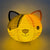 Paper Lantern - Kitty