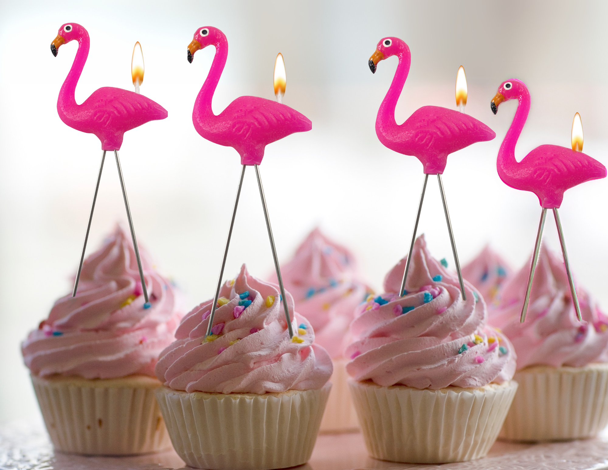 Flamingo Candles 4 pcs Set